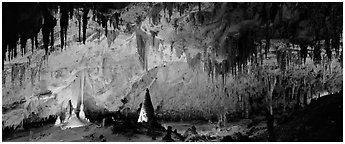 Delicate cave formations in Papoose Room. Carlsbad Caverns National Park (Panoramic black and white)