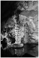 Column in Devils Spring. Carlsbad Caverns National Park, New Mexico, USA. (black and white)
