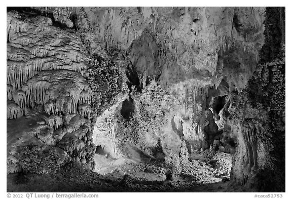 Alcove with delicate speleotherms. Carlsbad Caverns National Park (black and white)