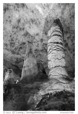 Giant Dome and Twin Domes. Carlsbad Caverns National Park (black and white)