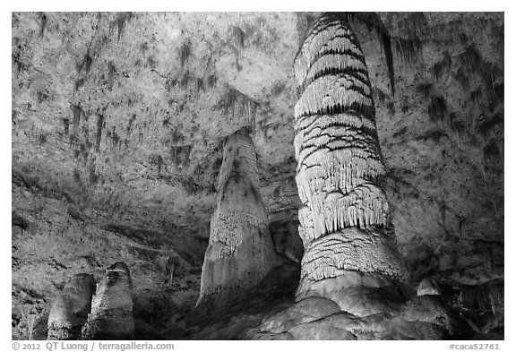 Giant Dome column in Hall of Giants. Carlsbad Caverns National Park (black and white)