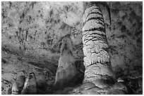 Giant Dome column in Hall of Giants. Carlsbad Caverns National Park ( black and white)
