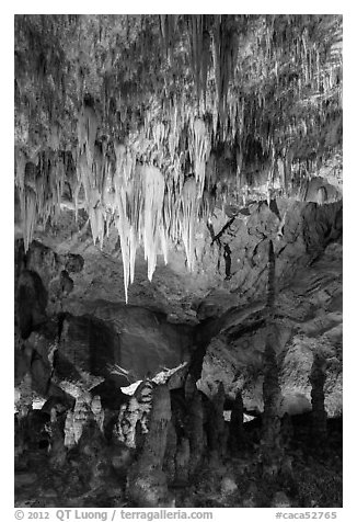 Chandelier and tall stalagmites, Big Room. Carlsbad Caverns National Park (black and white)