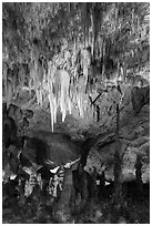 Chandelier and tall stalagmites, Big Room. Carlsbad Caverns National Park ( black and white)