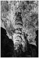 Massive stalagmites and delicate stalagtites, Big Room. Carlsbad Caverns National Park ( black and white)