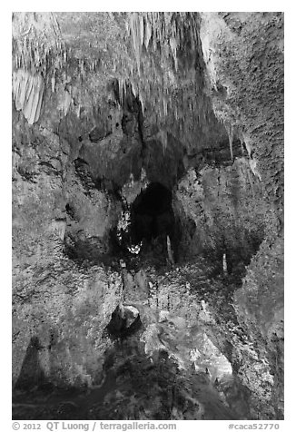 Lower Cave seen from jumping off place. Carlsbad Caverns National Park (black and white)