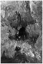 Lower Cave seen from jumping off place. Carlsbad Caverns National Park ( black and white)