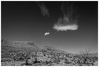Cloud and blue skies above burned desert. Carlsbad Caverns National Park, New Mexico, USA. (black and white)