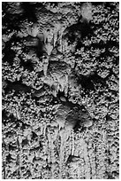 Cave popcorn detail. Carlsbad Caverns National Park ( black and white)