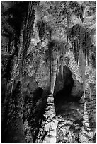 Chinese Theater. Carlsbad Caverns National Park ( black and white)