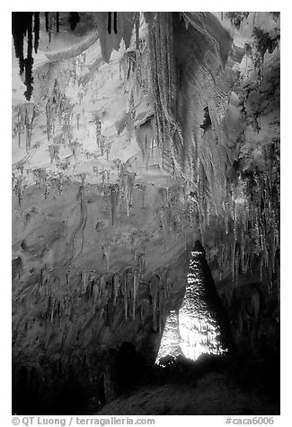 Delicate stalactites in Papoose Room. Carlsbad Caverns National Park (black and white)