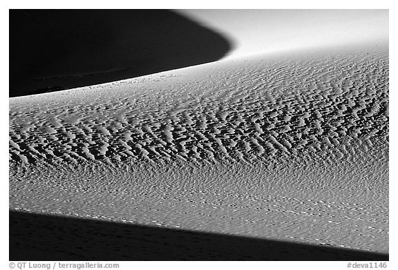 Sand patterns in Mesquite Sand dunes, early morning. Death Valley National Park, California, USA.