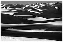 Mesquite Sand dunes, early morning. Death Valley National Park, California, USA. (black and white)