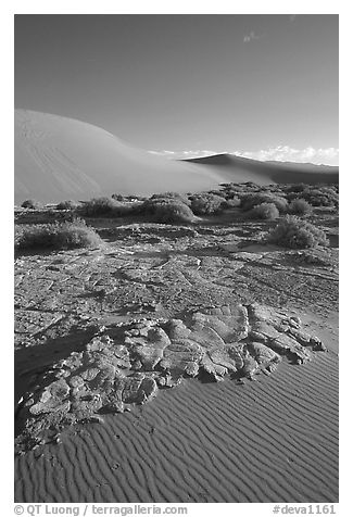 Mud formations in the Mesquite sand dunes, early morning. Death Valley National Park, California, USA.