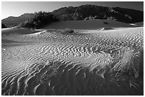 Mesquite Sand Dunes and Tucki mountain, early morning. Death Valley National Park, California, USA. (black and white)