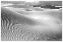 Mesquite Sand Dunes, morning. Death Valley National Park ( black and white)