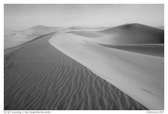 Mesquite Sand Dunes during a sandstorm. Death Valley National Park (black and white)