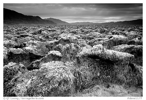 Salt formations, Devil's golf course. Death Valley National Park (black and white)