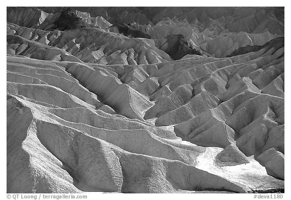 Eroded badlands near Zabriskie Point. Death Valley National Park, California, USA.