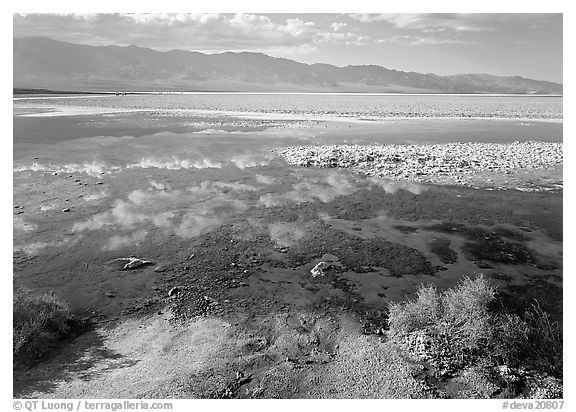 Shallow pond, reflections, and playa, Badwater. Death Valley National Park, California, USA.
