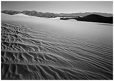 Ripples on Mesquite Dunes, early morning. Death Valley National Park, California, USA. (black and white)