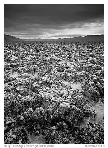 Salt pinnacles at Devils Golf Course. Death Valley National Park (black and white)