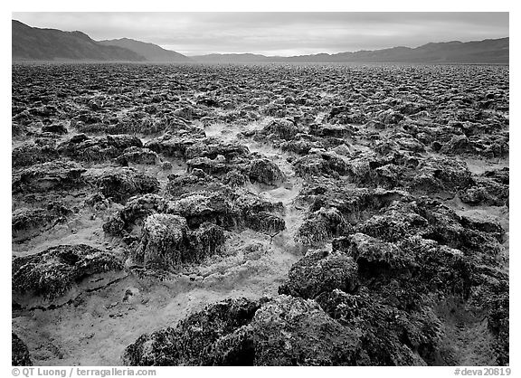 Lumpy salts of Devils Golf Course. Death Valley National Park (black and white)