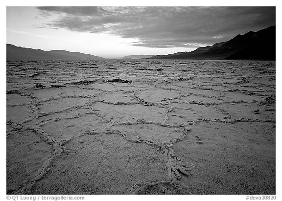 Hexagonal salt tiles near Badwater, sunrise. Death Valley National Park, California, USA.