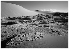 Mud formations in the Mesquite sand dunes, early morning. Death Valley National Park, California, USA. (black and white)