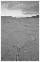Hexagonal stress tiles on saltpan near Badwater, sunrise. Death Valley National Park, California, USA. (black and white)