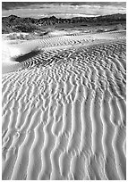 Ripples on Mesquite Sand Dunes. Death Valley National Park ( black and white)