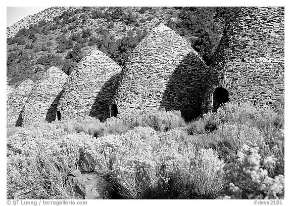 Charcoal Kilns near Wildrose. Death Valley National Park, California, USA.