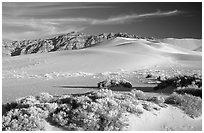 Eureka sand dunes, late afternoon. Death Valley National Park, California, USA. (black and white)