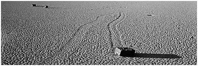 Moving stones on dried mud playa. Death Valley National Park (Panoramic black and white)