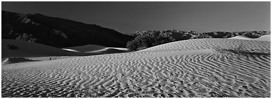 Desert landscape with sand ripples, Mesquite dunes. Death Valley National Park (Panoramic black and white)