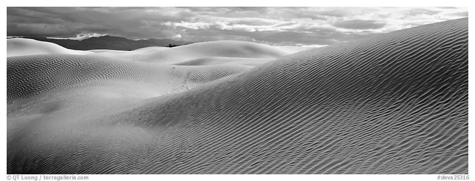 Desert sand dune landscape. Death Valley National Park (black and white)