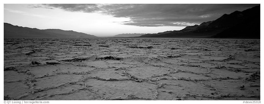 Hexagons on salt pan at sunrise. Death Valley National Park (black and white)