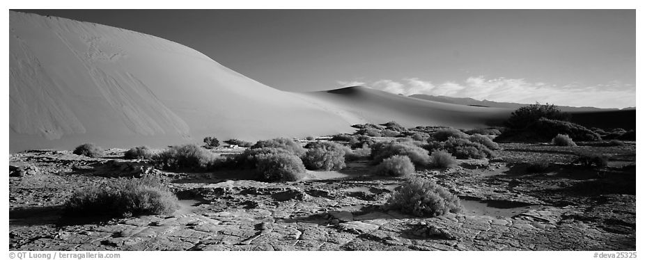 Desert landscape with mud slabs, bushes, and sand dunes. Death Valley National Park (black and white)