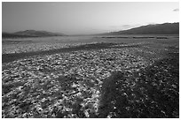 Salt formations on Valley floor, dusk. Death Valley National Park ( black and white)