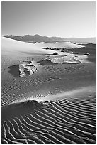 Depression in dunes with sand ripples, Mesquite Sand Dunes, early morning. Death Valley National Park, California, USA. (black and white)