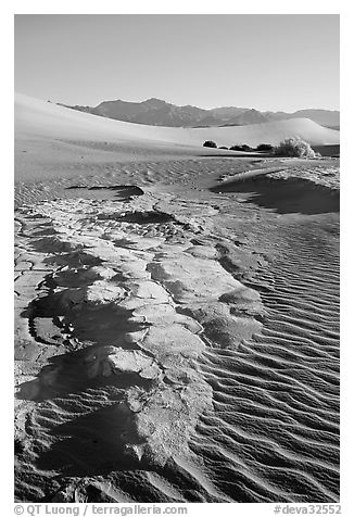 Cracked mud and sand ripples, Mesquite Sand Dunes, early morning. Death Valley National Park (black and white)
