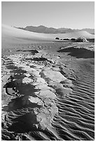 Cracked mud and sand ripples, Mesquite Sand Dunes, early morning. Death Valley National Park, California, USA. (black and white)