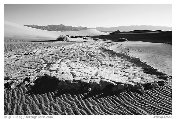 Black and White Picture/Photo: Cracked mud and sand ripples, Mesquite ...