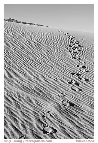 Footprints in the sand. Death Valley National Park (black and white)
