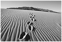 Footprints in the sand leading towards mountain. Death Valley National Park, California, USA. (black and white)
