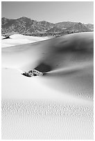 Depression in sand dunes, morning. Death Valley National Park, California, USA. (black and white)