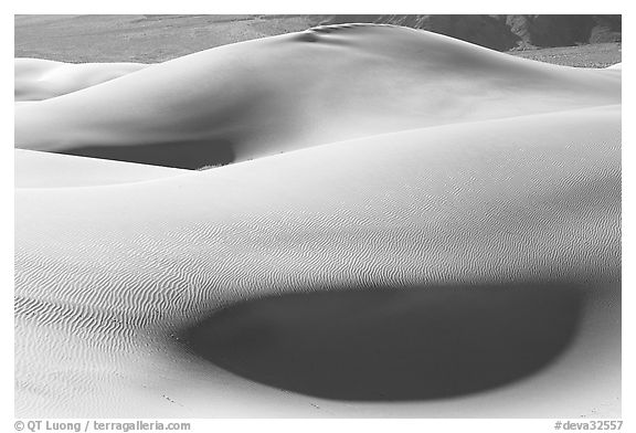 Sensuous forms, Mesquite Sand Dunes, morning. Death Valley National Park (black and white)