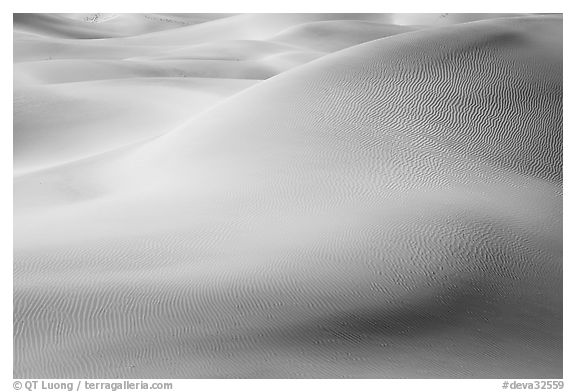 Sensuous forms in the sand, Mesquite Dunes, morning. Death Valley National Park, California, USA.
