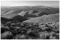 Tucki Mountains from Aguereberry point, late afternoon. Death Valley National Park ( black and white)