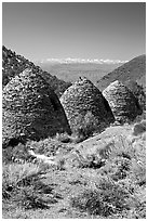 Wildrose Charcoal kilns with Sierra Nevada in background. Death Valley National Park, California, USA. (black and white)